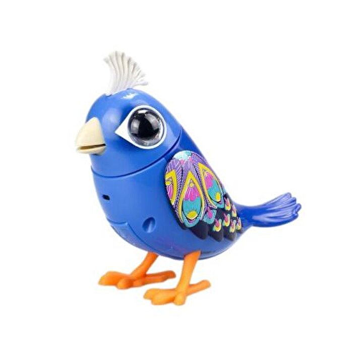 Digibirds İkili Paket Seri 1