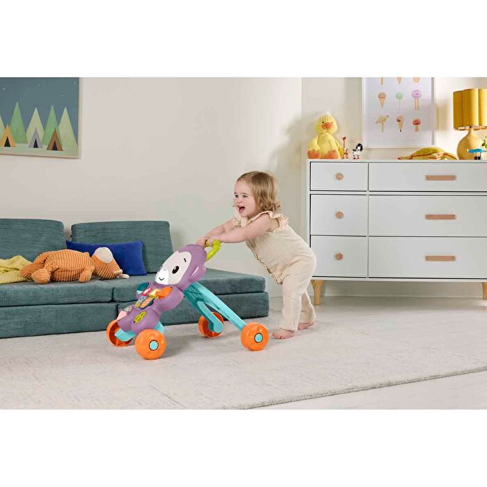 Fisher Price Sesli ve Işıklı Benimle Öğren Yürüteç JGW94
