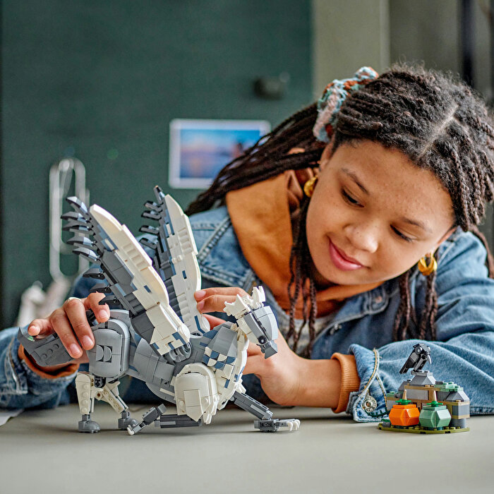 LEGO Harry Potter Şahgaga 76427