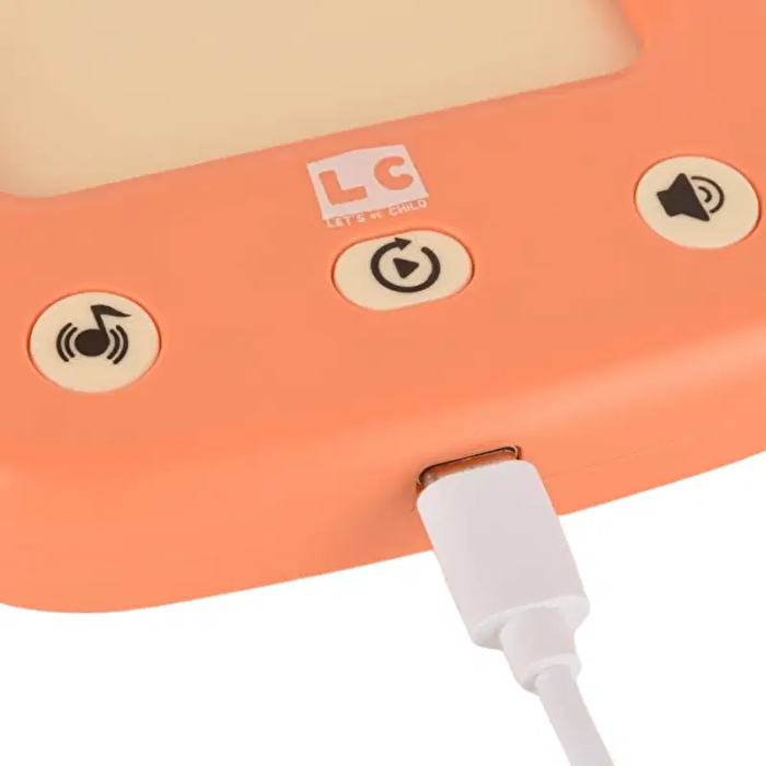 LC Öğreti̇ci̇ Türkçe ve İngi̇li̇zce Konuşan Kartlar Turuncu