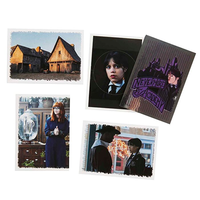 Panini Wednesday Çıkartma Albümü