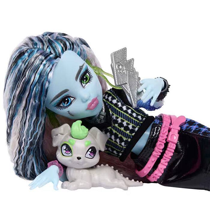 Monster High Ana Karakter Bebekler Frankiestein JHK31