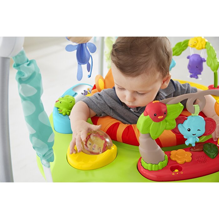 Fisher Price Yağmur Ormanı Jumperoo
