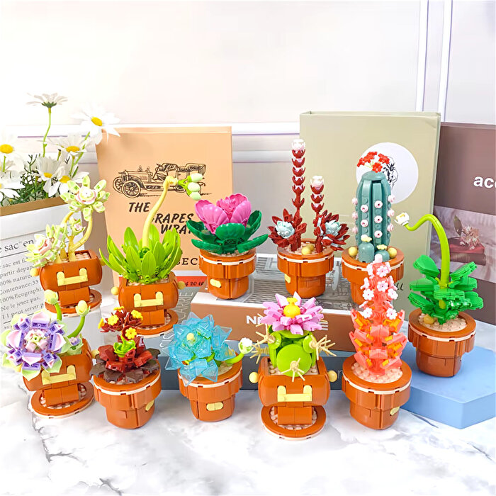 Mega Bitki Çiçekleri Sukulent 188 Parça