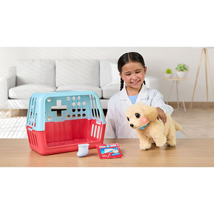 LLP Yavru Köpek İyileşiyor 26679