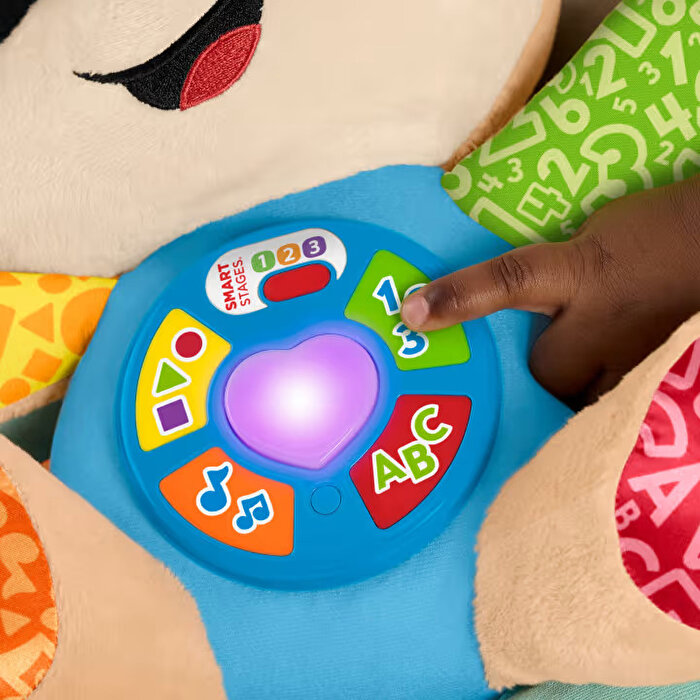Fisher Price Eğitici Köpekçik Yeni JFD25