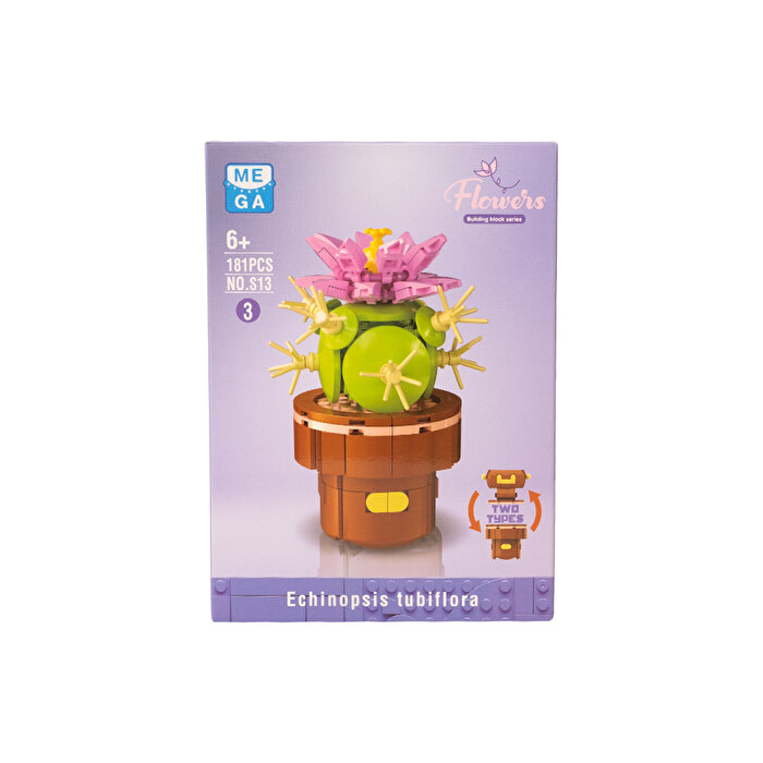 Mega Bitki Çiçekleri Kaktüs 181 Parça