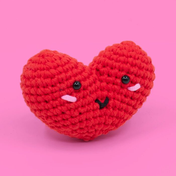 Caniko Örgü Öğrenme Seti