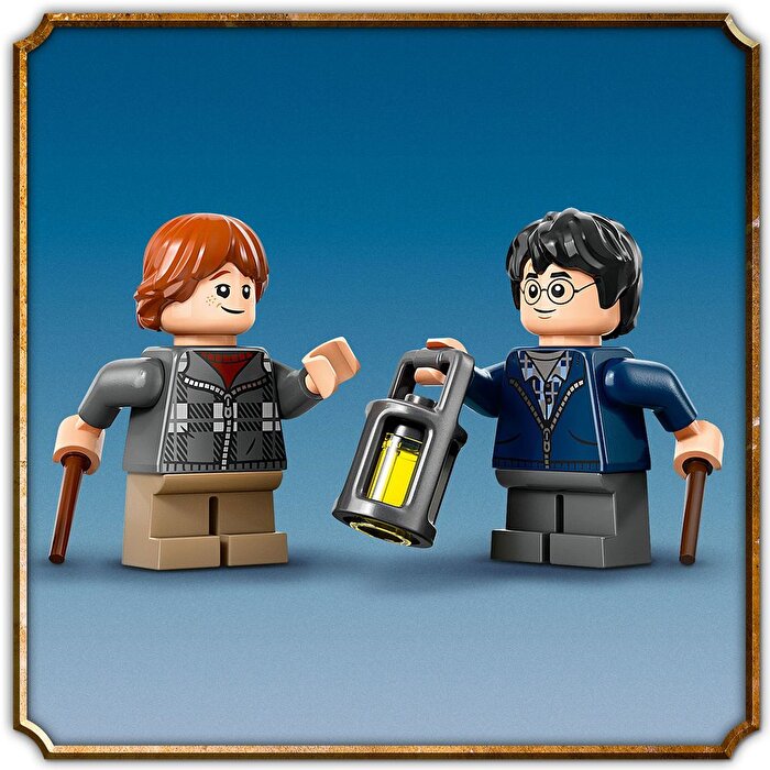 LEGO Harry Potter Aragog Yasak Orman’da 76434