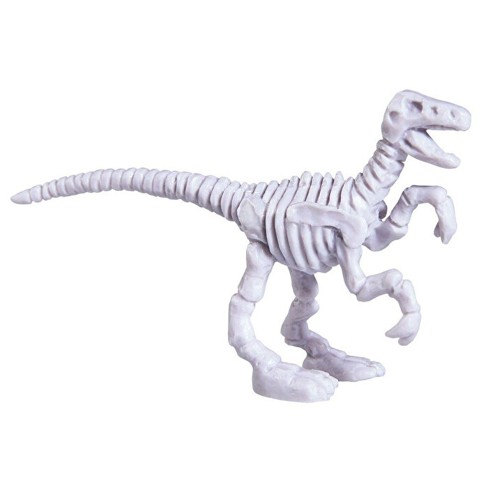 Kazıcı Dinoskeletonlar Velociraptor
