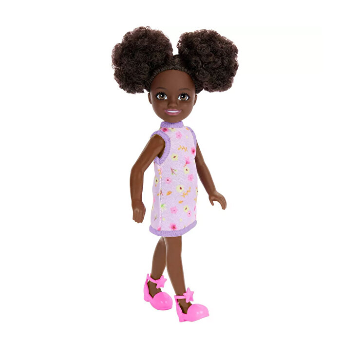 Barbie Aksesuarlı Chelsea Bebekler HXM96