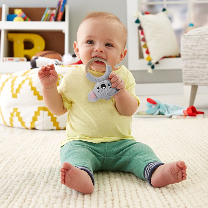 Fisher Price Örgü Dişlik Seti Koala GRR06