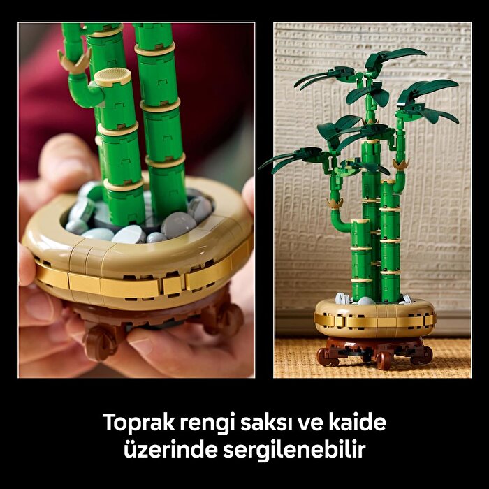 LEGO Botanicals Şans Bambusu 10344