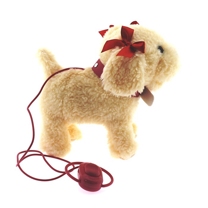 Dansçı Köpeğim Boncuk