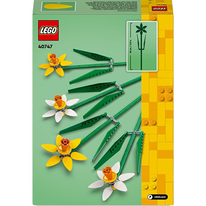 LEGO Iconic Nergis 40747