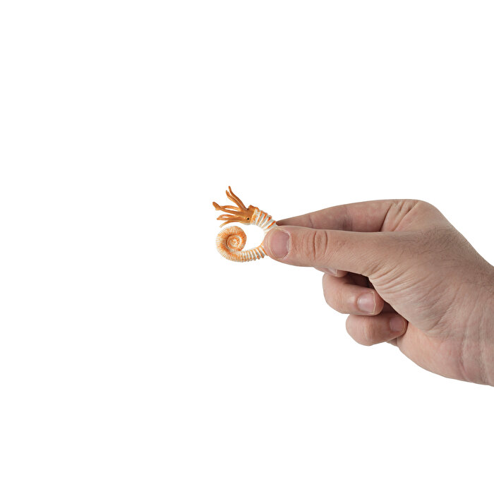 6'lı Okyanus Canlıları Hayvan Seti 1