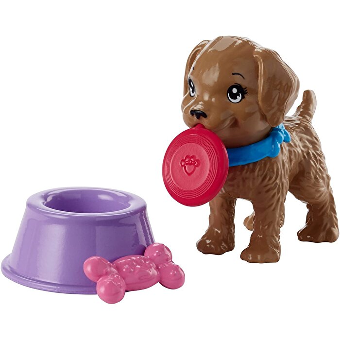 Barbie'nin Eğlenceli Ev Aksesuarları FHY70