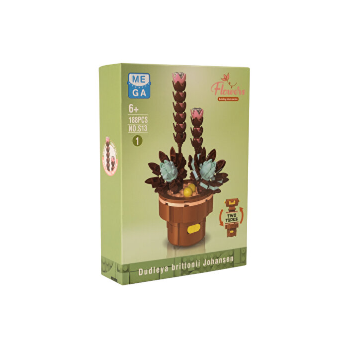 Mega Bitki Çiçekleri Sukulent 188 Parça