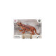 Animal World Bizon