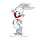 Jada Looney Tunes Figürler Daffy Duck