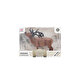 Animal World Siyah At