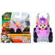 W010101SPN07606S