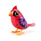 Digibirds Tek Paket Seri 1 Sarı