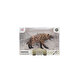 Animal World Goril
