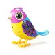 Digibirds Tekli Paket Seri 2 Sarı Yeşil