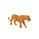 Animal World Kutup Ayısı