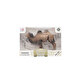 Animal World Siyah At