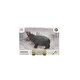 Animal World Bizon