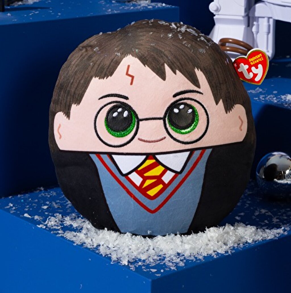 Harry Potter'ın  Büyülü Dünyası